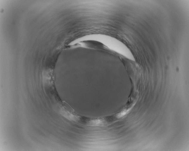 X0000070400237200607072252