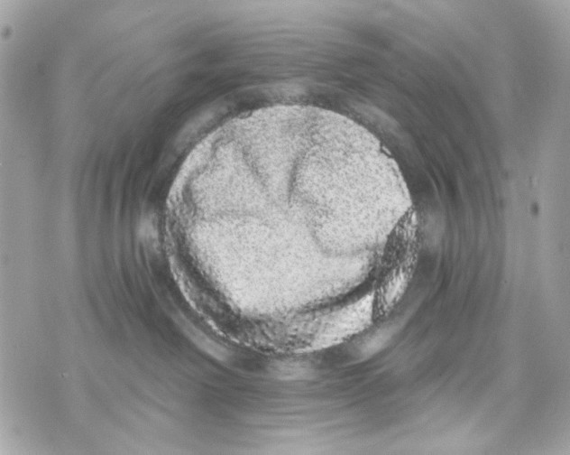 X0000070400238200607072252