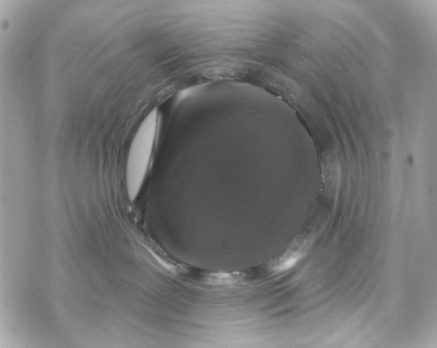 X0000070400239200607072252