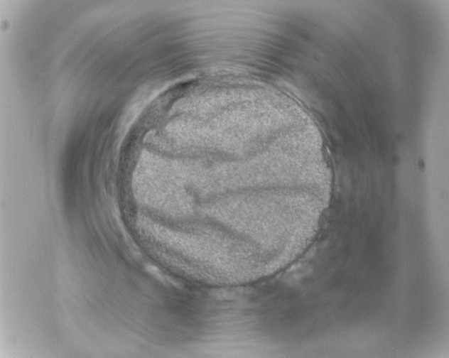 X0000070400241200607072251