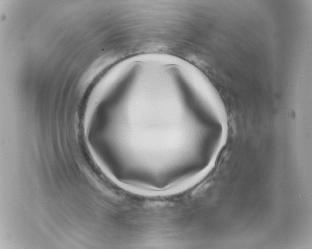 X0000070400242200607072251