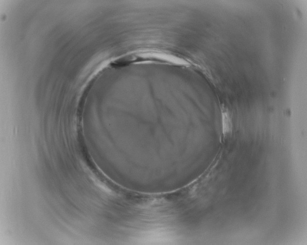 X0000070400243200607072251