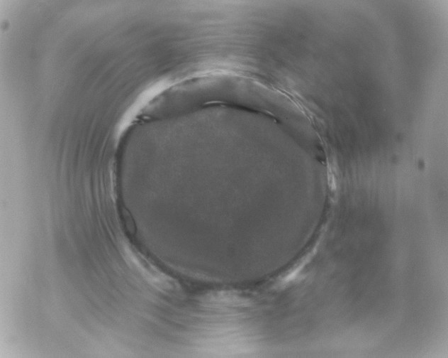 X0000070400244200607072251