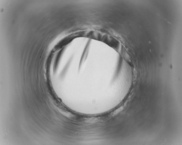 X0000070400246200607072251