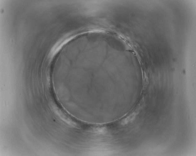 X0000070400247200607072251