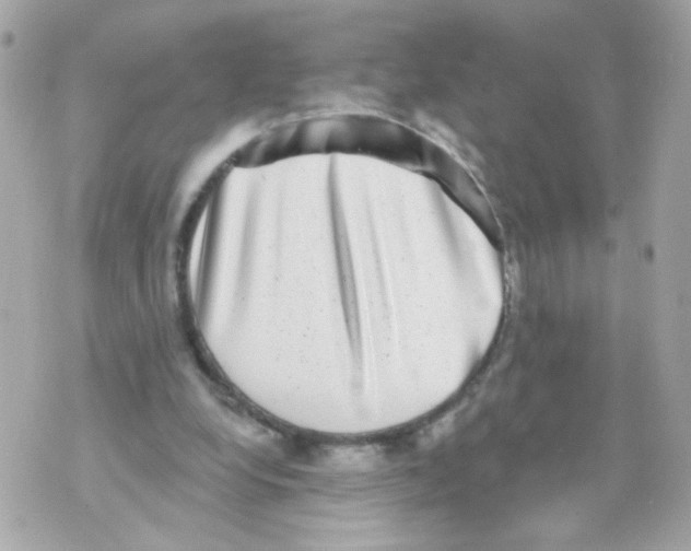 X0000070400248200607072251