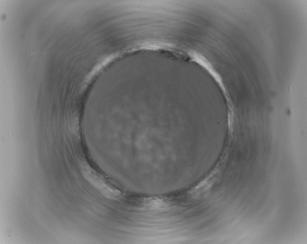 X0000070400249200607072251