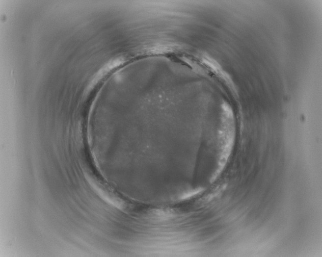 X0000070400250200607072251