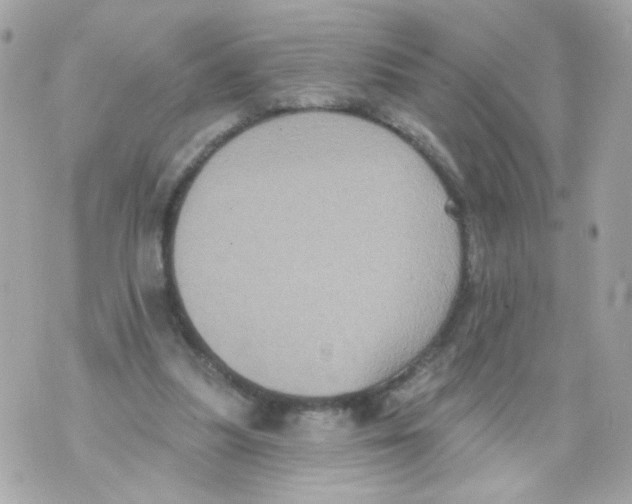 X0000070400251200607072251