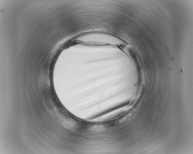 X0000070400252200607072251