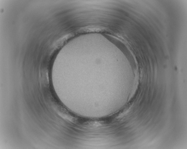 X0000070400254200607072251