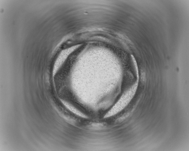 X0000070400256200607072251