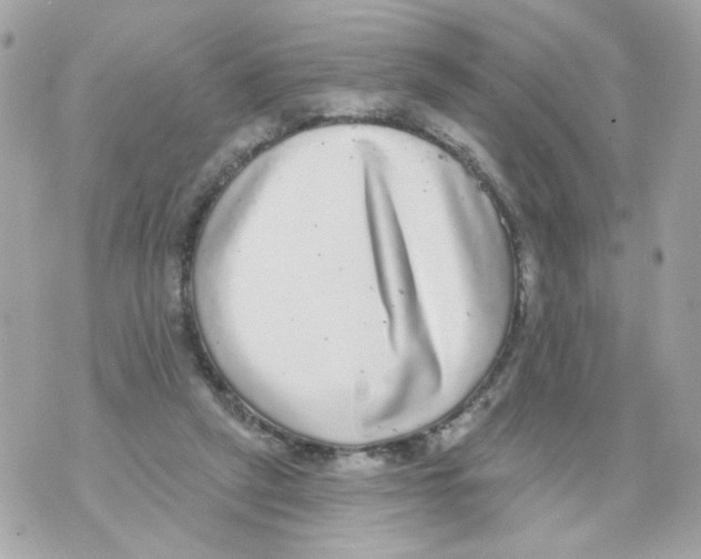 X0000070400257200607072251