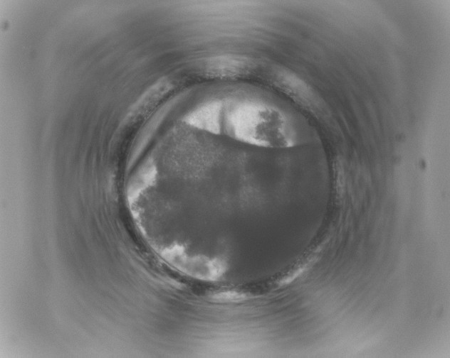 X0000070400258200607072251