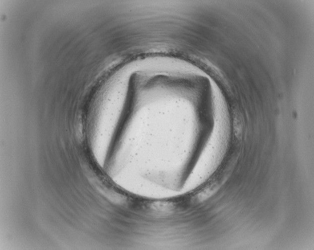 X0000070400261200607072251