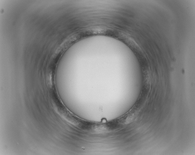 X0000070400262200607072251