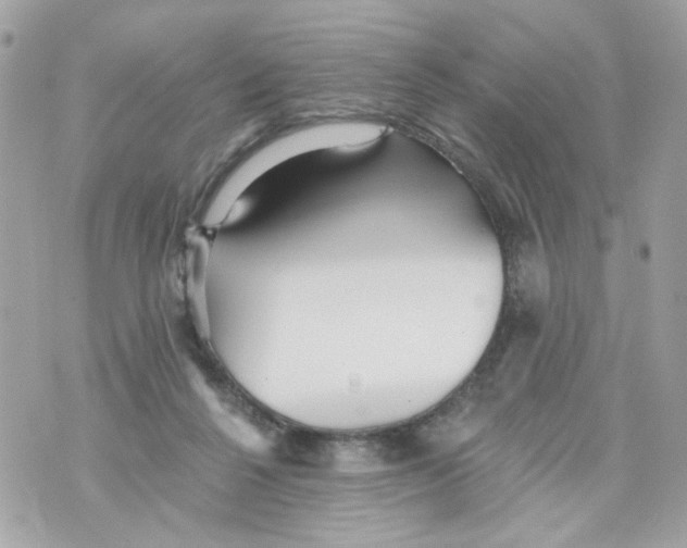 X0000070400264200607072251