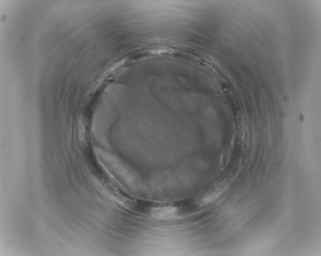 X0000070400266200607072251