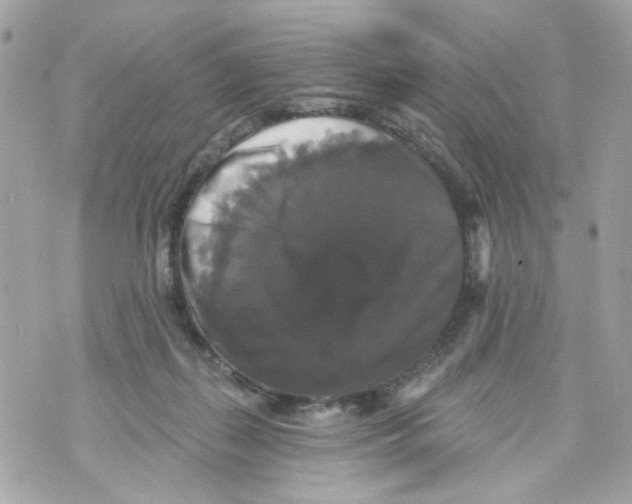 X0000070400267200607072251