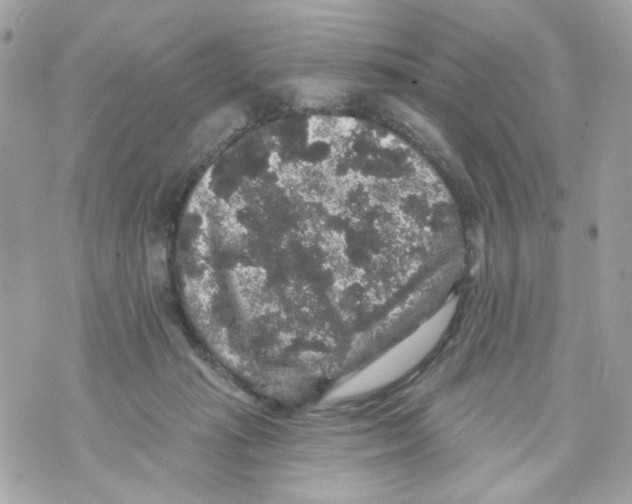 X0000070400269200607072251