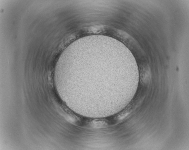 X0000070400270200607072251