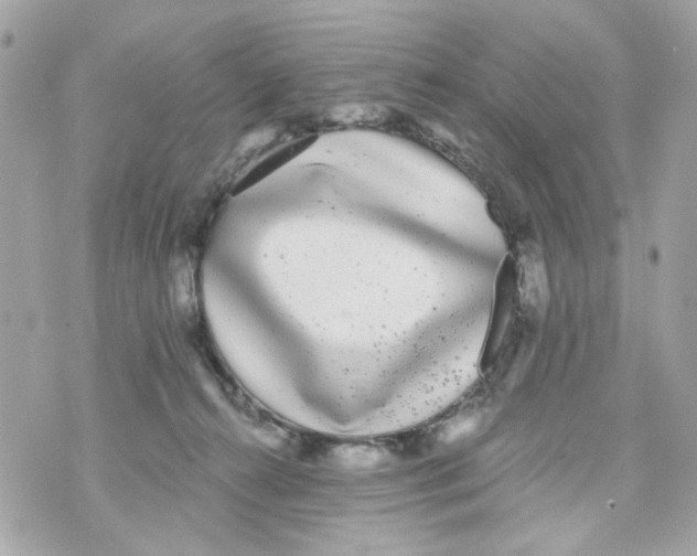 X0000070400272200607072251