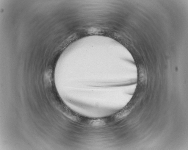 X0000070400275200607072251