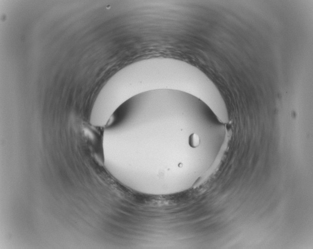 X0000070400276200607072251