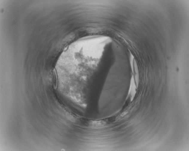 X0000070400277200607072252