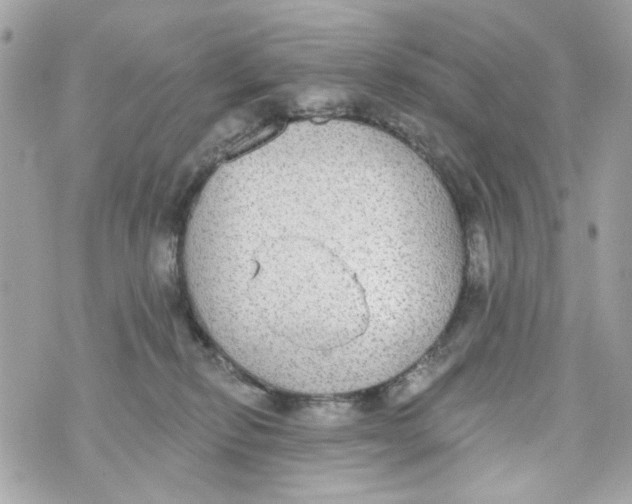 X0000070400278200607072252