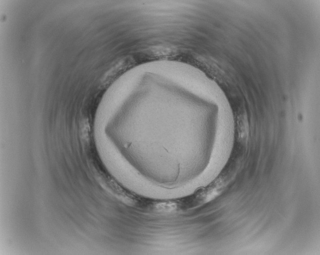 X0000070400279200607072252