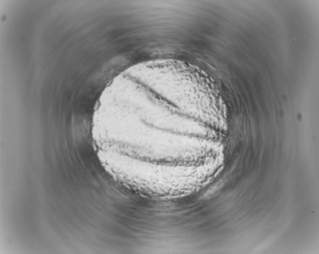 X0000070400281200607072252