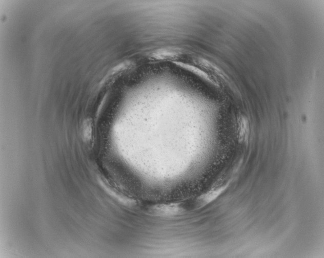 X0000070400284200607072252