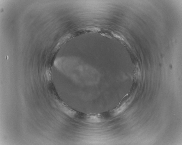 X0000070400285200607072252