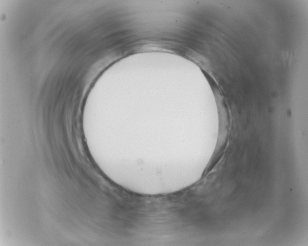 X0000070400289200607072251