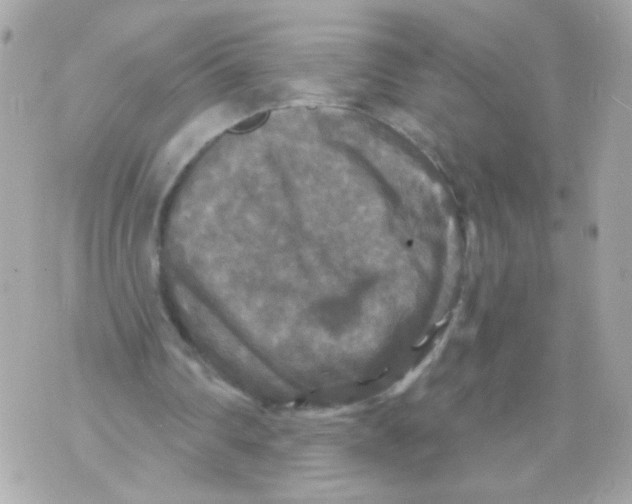 X0000070400290200607072251