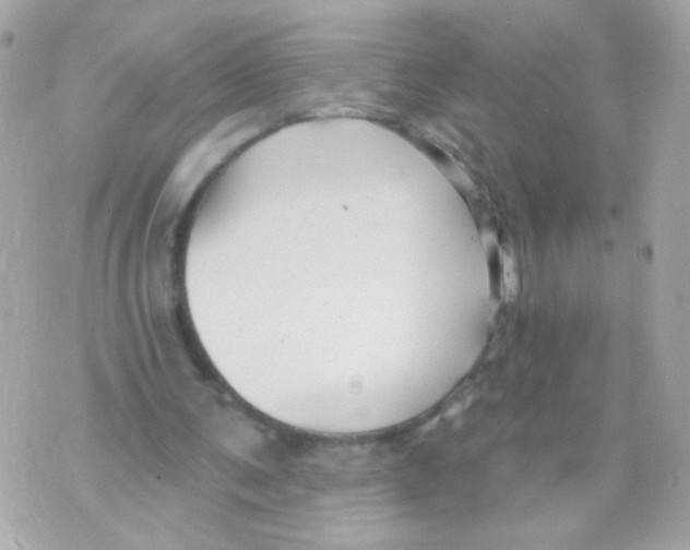 X0000070400291200607072251