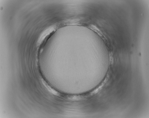 X0000070400293200607072251