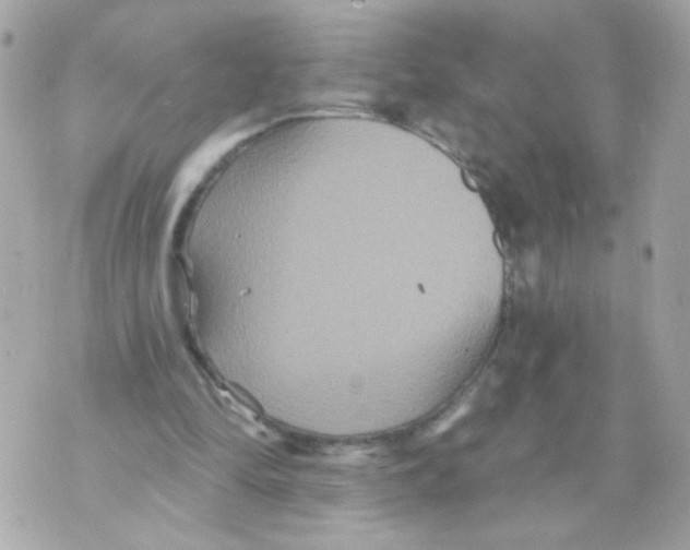 X0000070400294200607072251