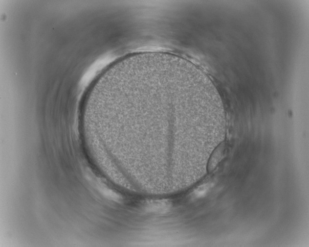 X0000070400296200607072251