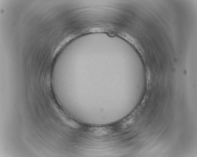 X0000070400297200607072251