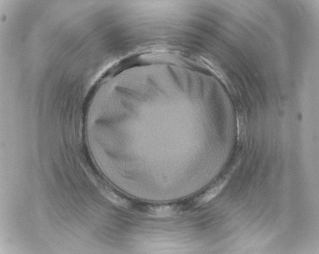 X0000070400301200607072251