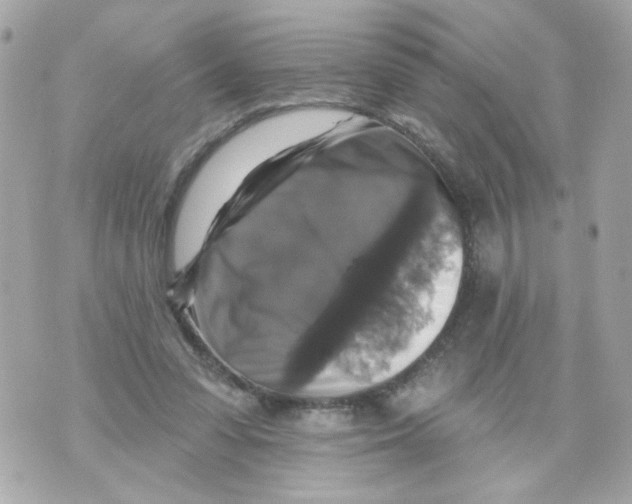 X0000070400303200607072251