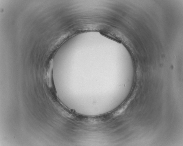 X0000070400305200607072251