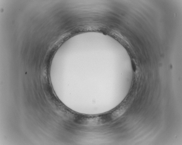 X0000070400306200607072251