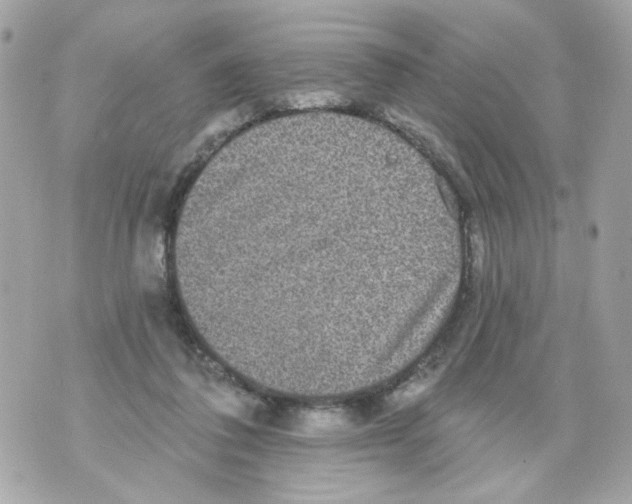 X0000070400308200607072251