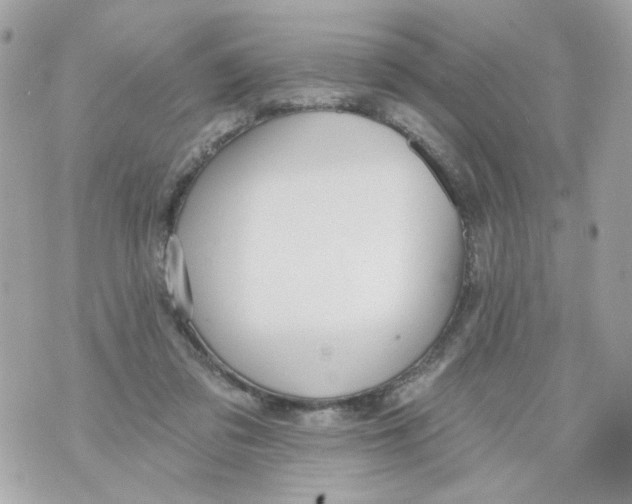 X0000070400309200607072251