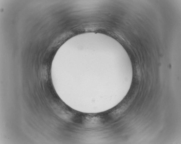 X0000070400311200607072251