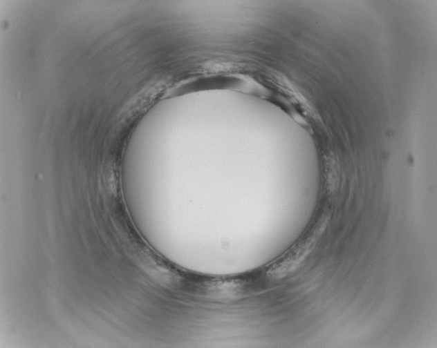 X0000070400313200607072251