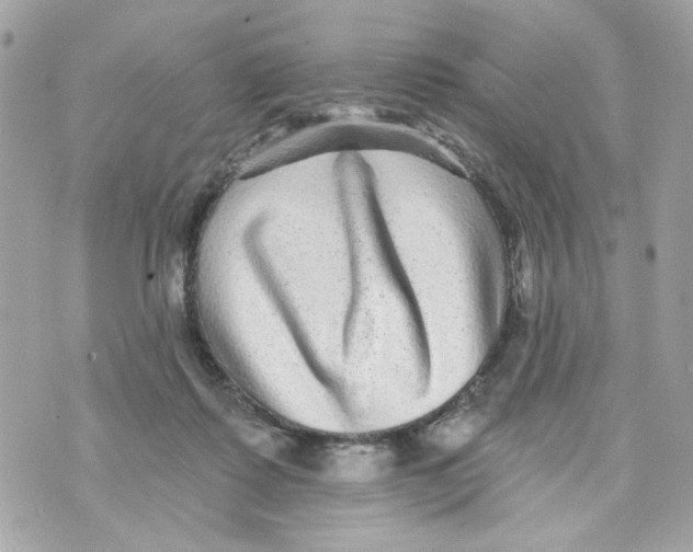 X0000070400315200607072251